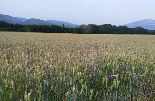 CAL JAN - CADÍ - Foto 25