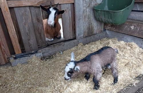 Bed and Bike Rheine - Foto 47