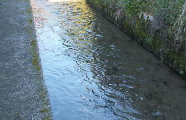 Molino Antico B&B - Foto 62