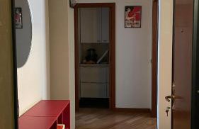 Bosco Imbonati - Foto 5