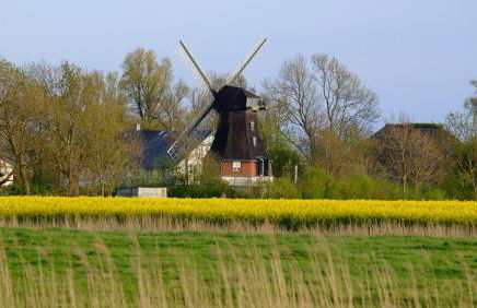 Windmühle Catharina - Foto 19