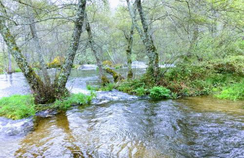 Casa Sanabresa - Foto 14