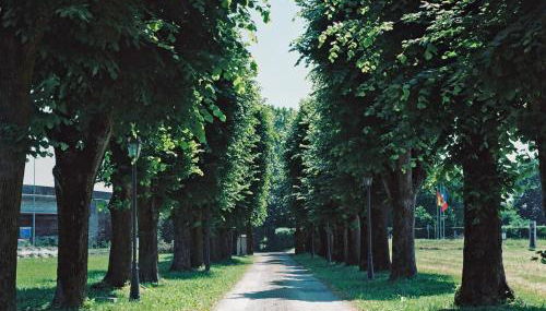 Villa Meli Lupi - Residenze Temporanee - Foto 5, Garden