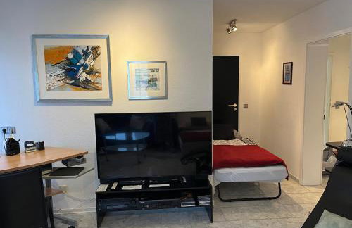 Excl Ferienwohnung im Dreiländereck D-F-CH mit beheiztem kl Pool zum Schwimmen und Massieren - Foto 46