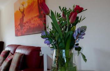 Annie's Corner - Foto 10