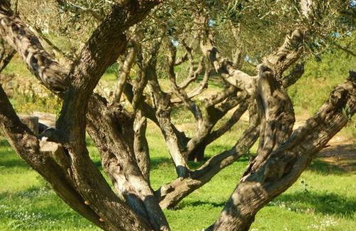 Coquet T2 rénové, proche plages et Hyères, 4 couchages - Foto 5