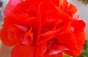 Casa di Giulia (Bambini gratis fino a 6 anni) - Foto 39