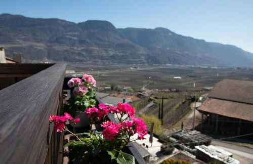 Weingut Pardellerhof - Foto 55