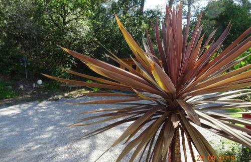 Les Ecrins d'Aix-en-Provence - Foto 17