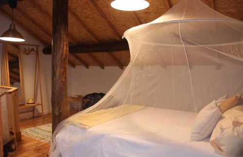 Bosque dos Amieiros - Foto 13