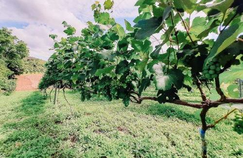 Recanto das Videiras - Casa em Vinícola - Foto 116
