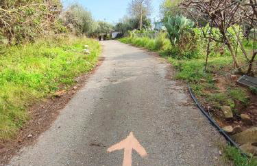 Nature House Vlatos - Foto 34