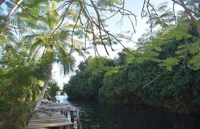 Bamboleo Inn Belize - Photo 48