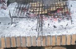 La Bodeguita de Alhama - Photo 33