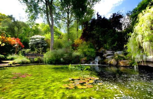 Pinetum Garden Cottages - Foto 124