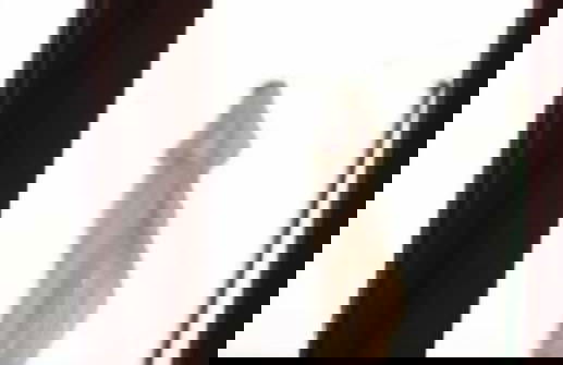 Hotel Rural Los Caracoles - Photo 64