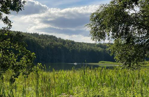 LEŚNY KĄCIK - Foto 33