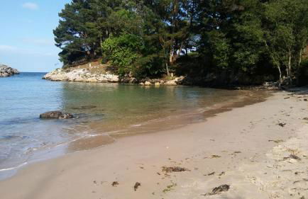 Apartamentos Rurales Llagumelon - Foto 53