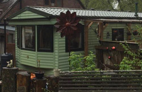 Secluded Woodland Hideaway - 2 Bed with Private Parking - Photo 8