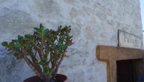 PALIAMA BY THE RIVER - Photo 4