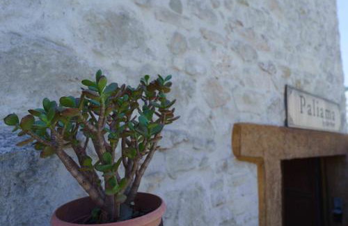 PALIAMA BY THE RIVER - Foto 4