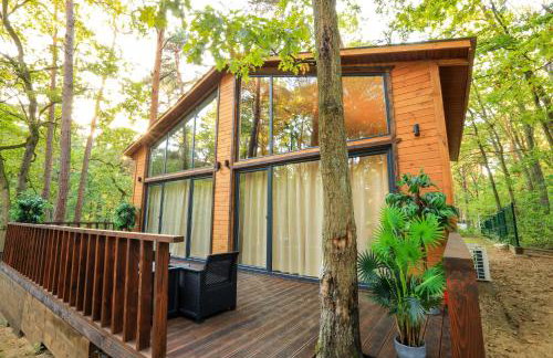 Bizon Village - Foto 69