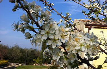 Agriturismo Frangivento - Foto 48