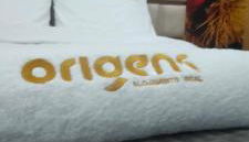 Origens - Alojamento Local - Foto 3