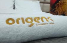 Origens - Alojamento Local - Foto 3