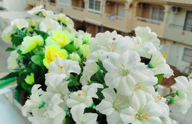 Balcón del Atardecer - Foto 18