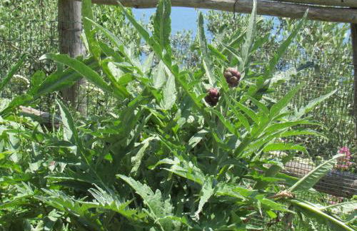 Casa Vacanze Il Libeccio - Foto 61