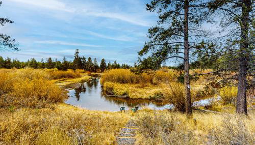 Game & Gather Getaway - Foto 5