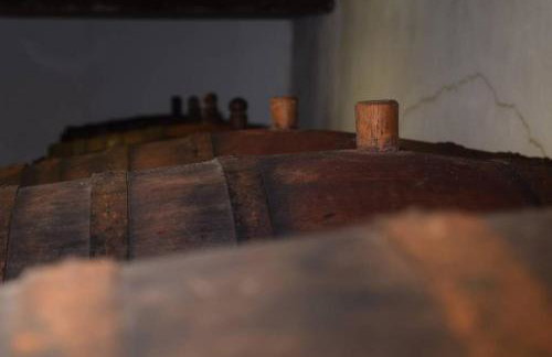 Weingut Köfelgut - Turris Vini - Foto 6