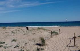 Sunny Holiday Home - Foto 3