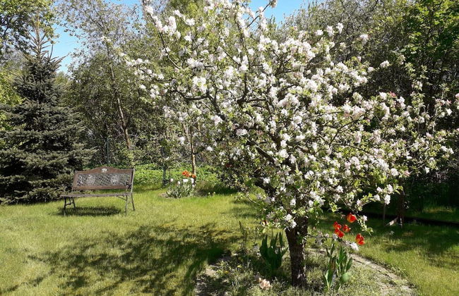 Ferienwohnung in der Huebschen Inselstadt Malchow - Foto 10