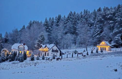 Noclegi Panorama - Domek RUSTIC - Foto 7