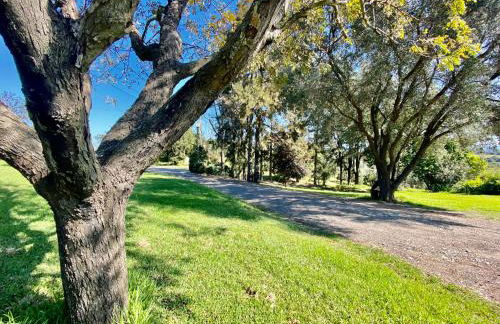 Domaine Punta della Guardia villa panorama maquis et mer, plage à 1,5 Km - Foto 23