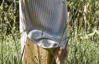 Alpimena Natur-Apartments Meran - Foto 39