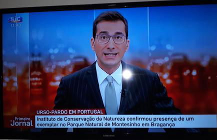 Apimonte Casa do Pascoal - PN Montesinho - Foto 70