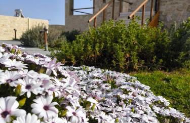 Alagni Cretan Resort - Foto 51