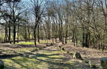 FeWo am Tillysee in Wardenburg - Foto 39