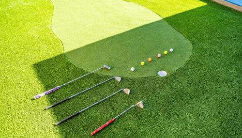 Pickleball Putt Palace - Foto 2