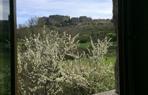 Mas Saint Louis - Foto 72