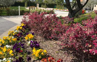 Agricamping Al grappolo diVino - Foto 9