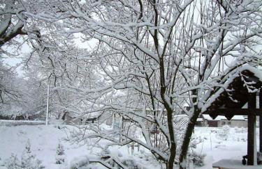 Haus Jasmin - Foto 11