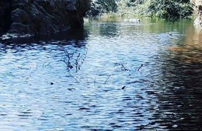 Las Eras 2 - Foto 45