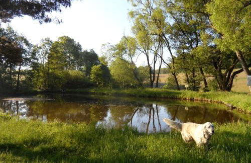 Dog-friendly Holiday Home in the Knull - Foto 9