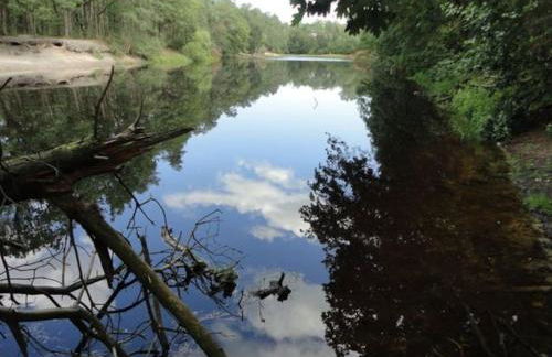 Tinyhouse on wheels - Foto 37