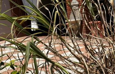 Casa Vacanza Indipendente Cascina Cremasca with pool - Foto 54