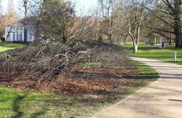 Ferienwohnung Hellmann - Foto 27